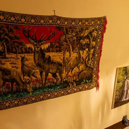 Homestay Tarihi Konagi Antikhan *