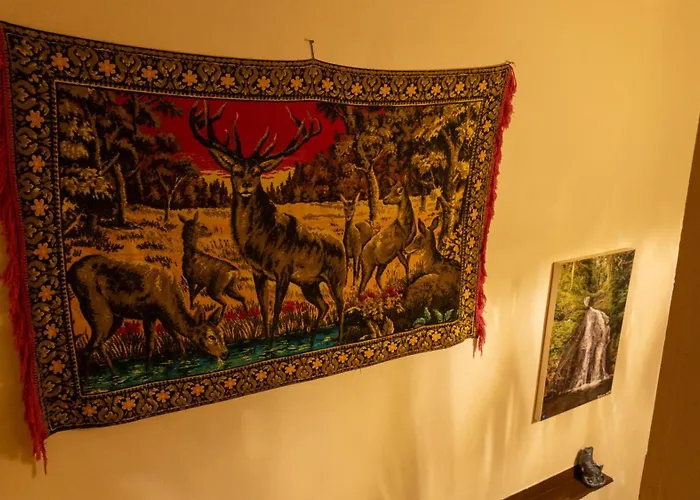 Séjour chez l'habitant Tarihi Konagi Antikhan *