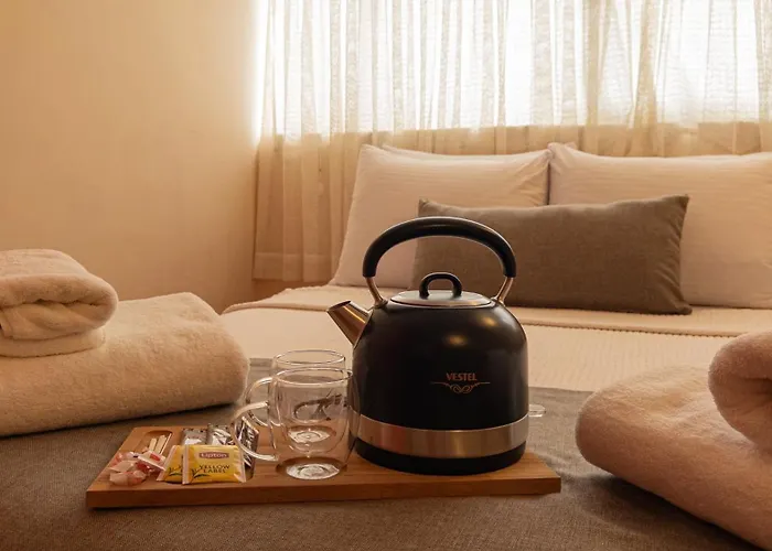 Séjour chez l'habitant Tarihi Konagi Antikhan *